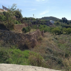 Terrain d'irrigation