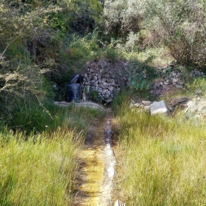 Finca of 4 Ha, in Production, Irrigation.