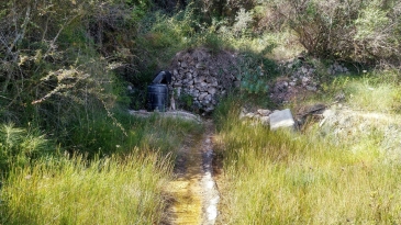 Finca of 4 Ha, in Production, Irrigation.