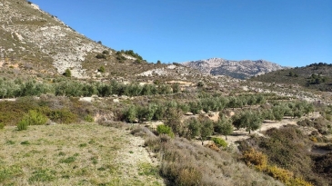 Propriété en irrigation Florent