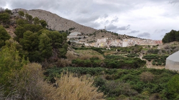 Irrigation plot of 5,949m2, with an agricultural warehouse of 25m2