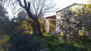 Irrigation plot of 5,949m2, with an agricultural warehouse of 25m2