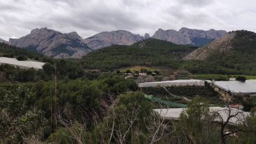 Irrigation plot of 5,949m2, with an agricultural warehouse of 25m2