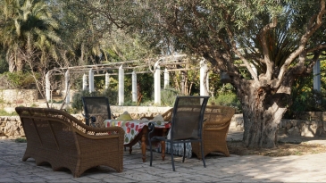 Fantastic 19th century estate