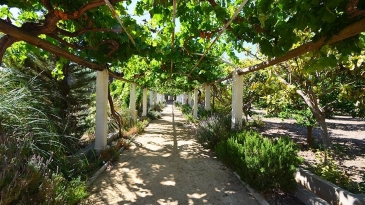Fantastic 19th century estate