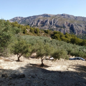Finca of 4 Ha, in Production, Irrigation.