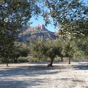 Country House Finca Chorquets