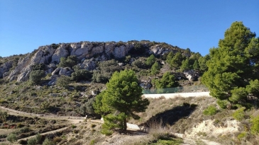 Propriété en irrigation Florent