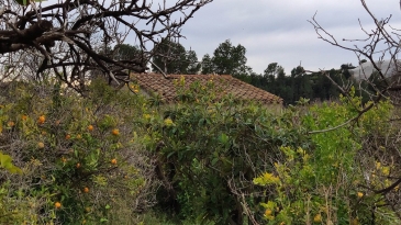 Irrigation plot of 5,949m2, with an agricultural warehouse of 25m2