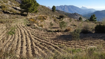Propriété en irrigation Florent