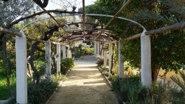 Fantastic 19th century estate