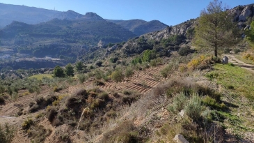 Propriété en irrigation Florent