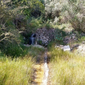 Finca of 4 Ha, in Production, Irrigation.