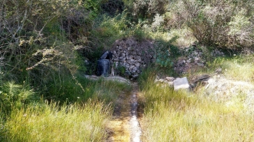 Finca of 4 Ha, in Production, Irrigation.