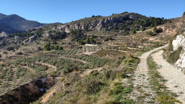 Propriété en irrigation Florent