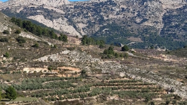 Propriété en irrigation Florent