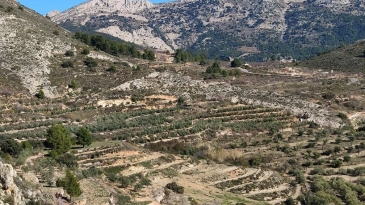 Propriété en irrigation Florent