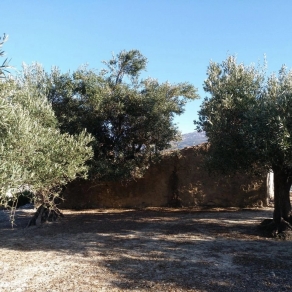 Country House Finca Chorquets
