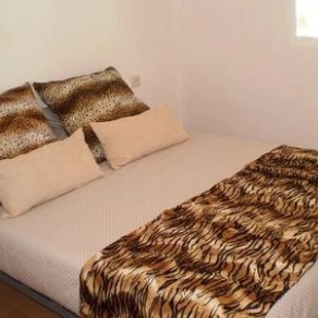 Cozy apartment near the Palau Altea.