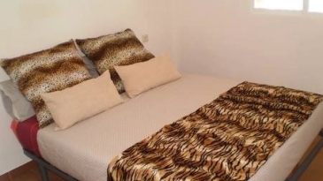 Cozy apartment near the Palau Altea.