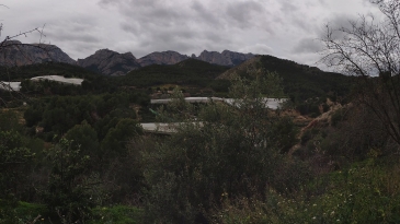 Irrigation plot of 5,949m2, with an agricultural warehouse of 25m2