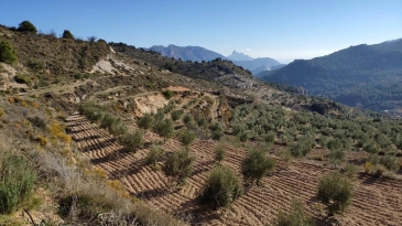 Propriété en irrigation Florent