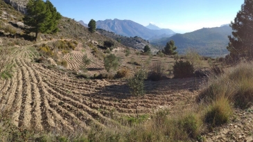 Propriété en irrigation Florent