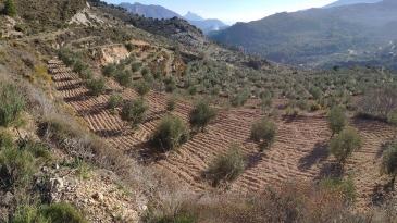 Propriété en irrigation Florent