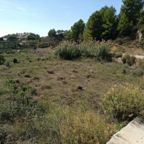 Terrain d'irrigation