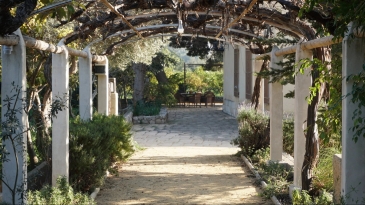 Fantastic 19th century estate