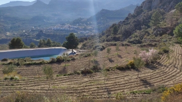 Propriété en irrigation Florent