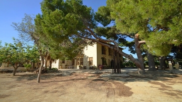 Fantastic 19th century estate
