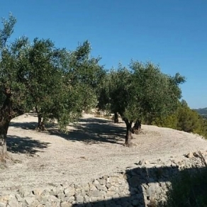 Country House Finca Chorquets
