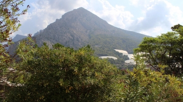 Villa in the area of Las Fuentes de Algar of  Callosa. Orchard area and surrounded by mountains