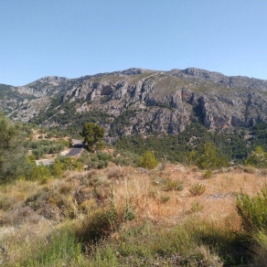 Finca of 4 Ha, in Production, Irrigation.